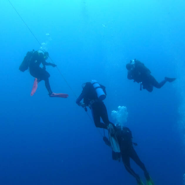 Ronjenje Molunat 2025